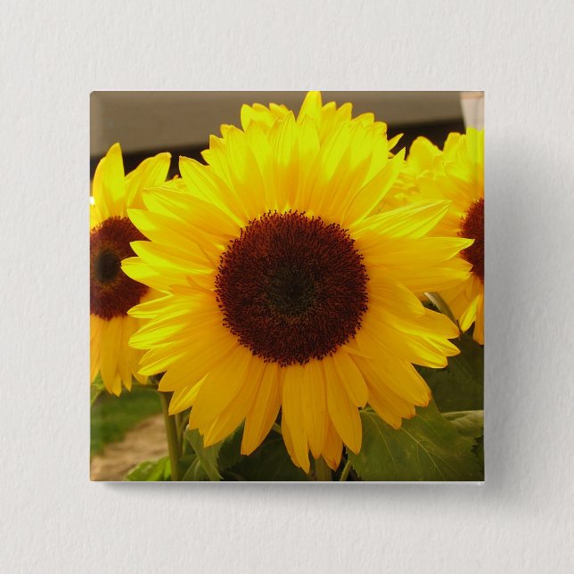 Sunflowers 15 Cm Square Badge (Front)