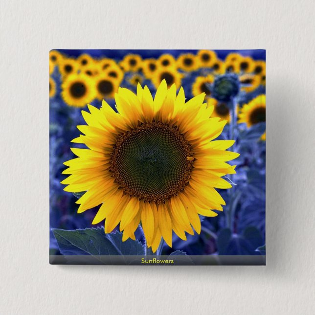 Sunflowers 15 Cm Square Badge (Front)