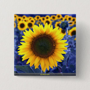 Sunflowers 15 Cm Square Badge