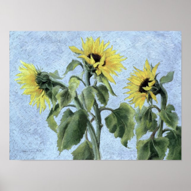 Sunflowers 1996 poster (Front)