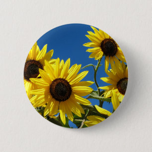 Sunflowers 6 Cm Round Badge