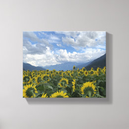 Sunflowers against mountain backdrop canvas print