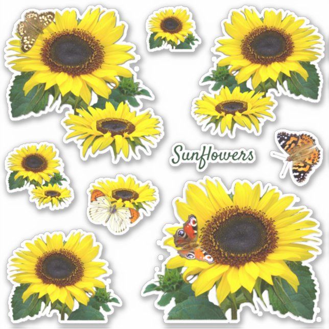 Sunflowers and Butterflies Cut Vinyl Sticker (Front)