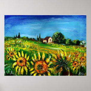 SUNFLOWERS AND COUNTRYSIDE IN TUSCANY,colossal Poster