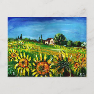 SUNFLOWERS AND COUNTRYSIDE IN TUSCANY POSTCARD