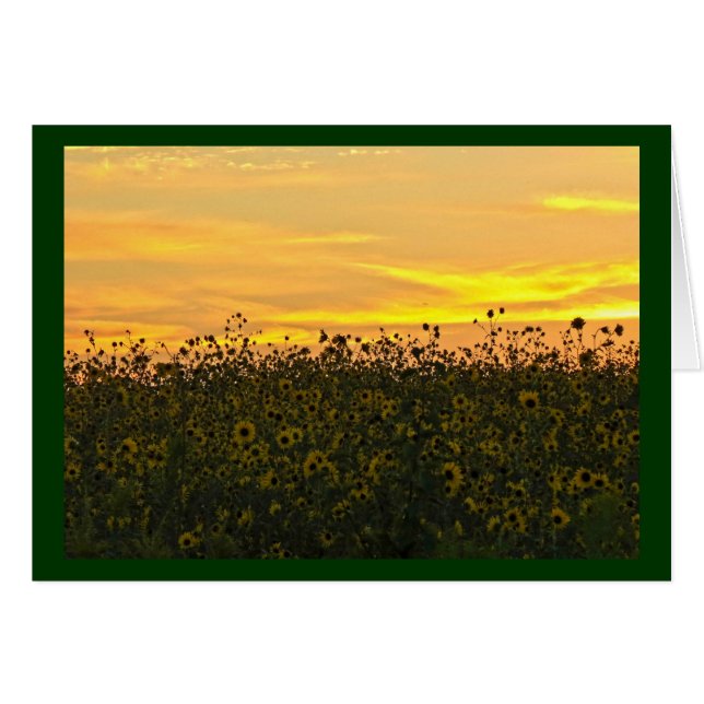 Sunflowers at Dusk (Front Horizontal)