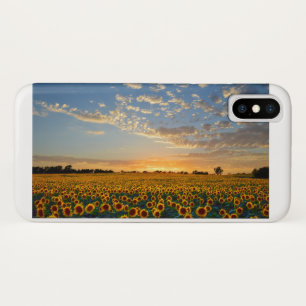 Sunflowers at Sunset iPhone X Case