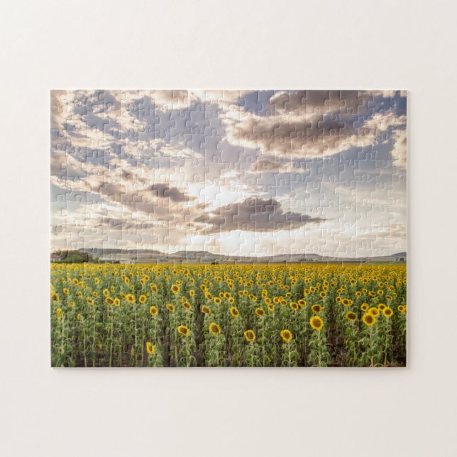 Sunflowers at Sunset Jigsaw Puzzle (Horizontal)