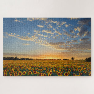 Sunflowers at Sunset Jigsaw Puzzle