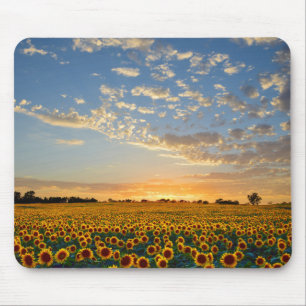 Sunflowers at Sunset Mouse Mat
