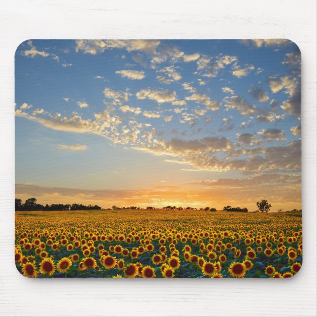 Sunflowers at Sunset Mouse Mat (Front)