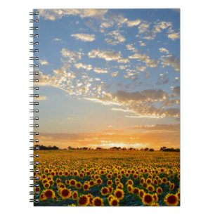Sunflowers at Sunset Notebook