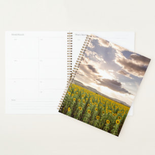 Sunflowers at Sunset Planner