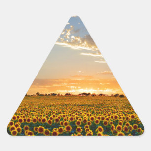 Sunflowers at Sunset Triangle Sticker