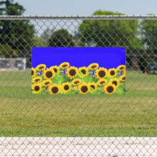 Sunflowers Banners Ukraine Flag Colours Support