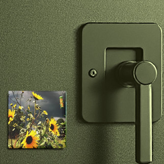 Sunflowers Before The Storm Clouds Photograph Magnet (2" square sunflower magnet)