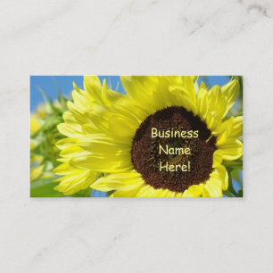 Sunflowers Business Cards Yellow Blue Cards