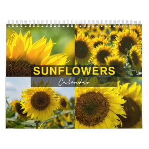 Sunflowers Calendar - Photo Collection