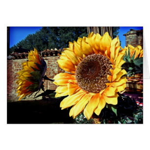 Sunflowers Card