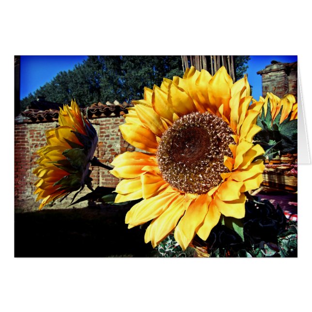 Sunflowers Card (Front Horizontal)