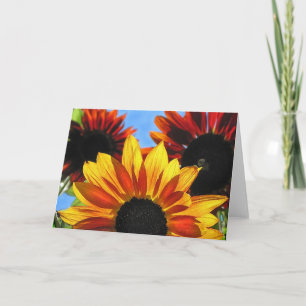 Sunflowers Card