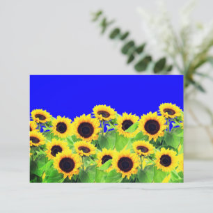 Sunflowers Card Ukraine Flag Colours