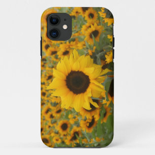 Sunflowers iPhone 11 Case