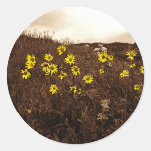 Sunflowers Classic Round Sticker
