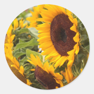 Sunflowers Classic Round Sticker