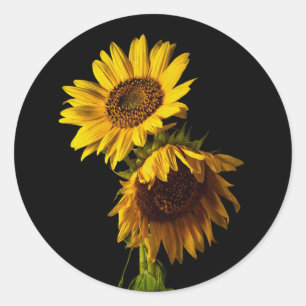 Sunflowers classic round sticker
