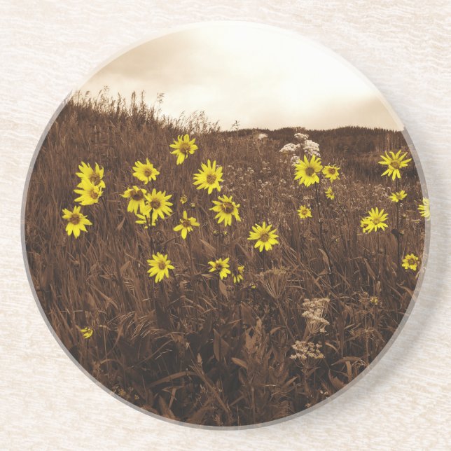 Sunflowers Coaster (Front)