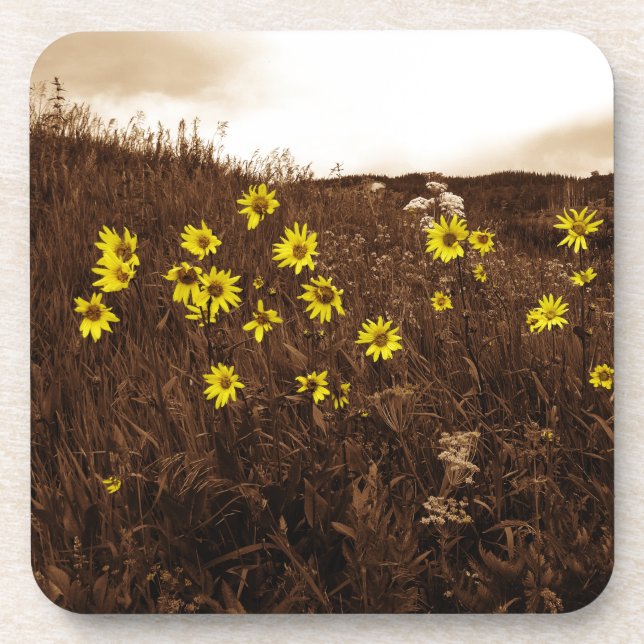 Sunflowers Coaster (Front)
