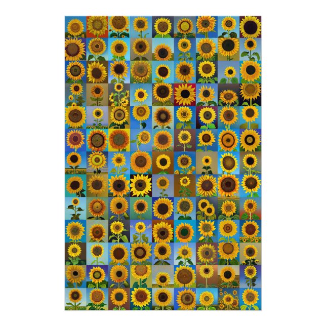 Sunflowers collage photo print (Front)