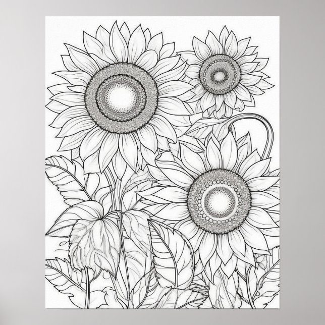Sunflowers Colouring Poster for Adults (Front)
