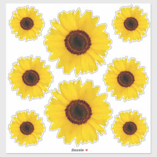 Sunflowers Contour Sticker Bonus