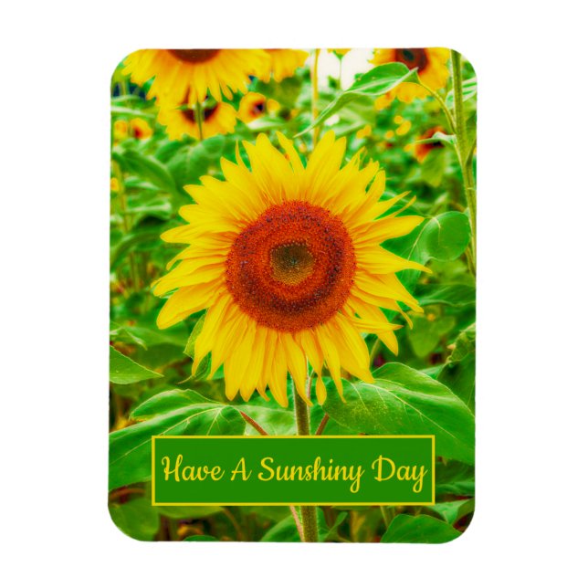 Sunflowers Country Yellow Green Bright Floral Magnet (Vertical)
