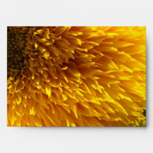 Sunflowers Envelopes Bright Yellow Greeting Cards
