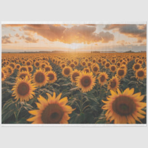 Sunflowers Field Decoupage Tissue Paper