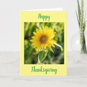 SUNFLOWERS FOR A "HAPPY THANKSGIVING" WISH HOLIDAY CARD