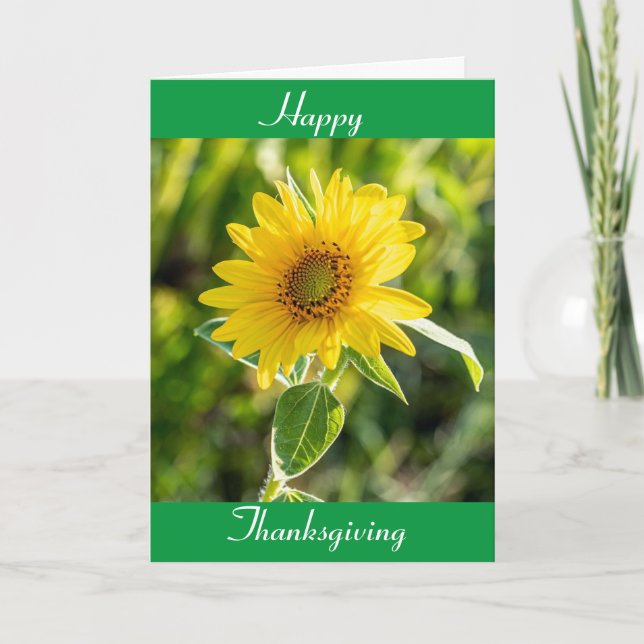 SUNFLOWERS FOR A "HAPPY THANKSGIVING" WISH HOLIDAY CARD (Front)