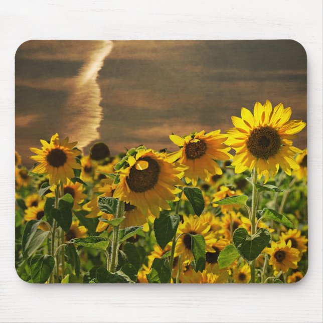 Sunflowers Galore Mouse Mat (Front)