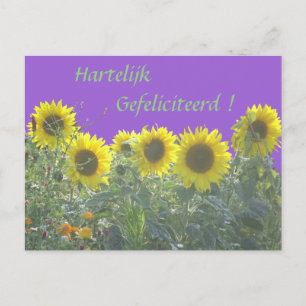 Sunflowers Happy Birthday in Dutch Postcard