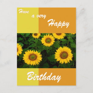 Sunflowers - Happy Birthday Postcard
