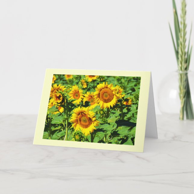 Sunflowers Holiday Card (Front)