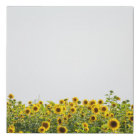 Sunflowers in a Field