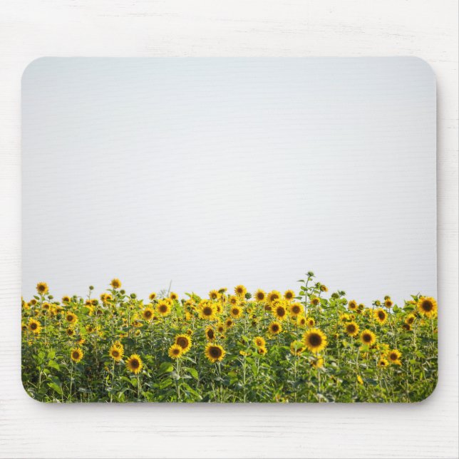 Sunflowers in a Field Mouse Mat (Front)