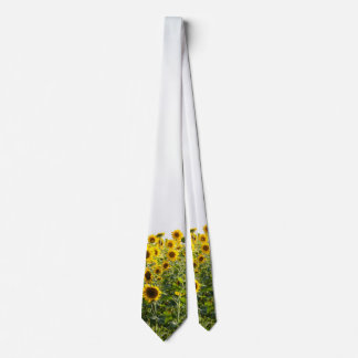 Sunflowers in a Field Tie