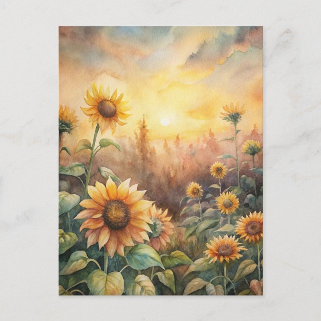 Sunflowers in a Meadow Postcard (Front)