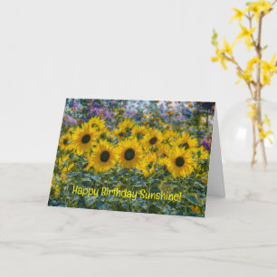 Sunflowers in a Sunlight Garden Birthday Card