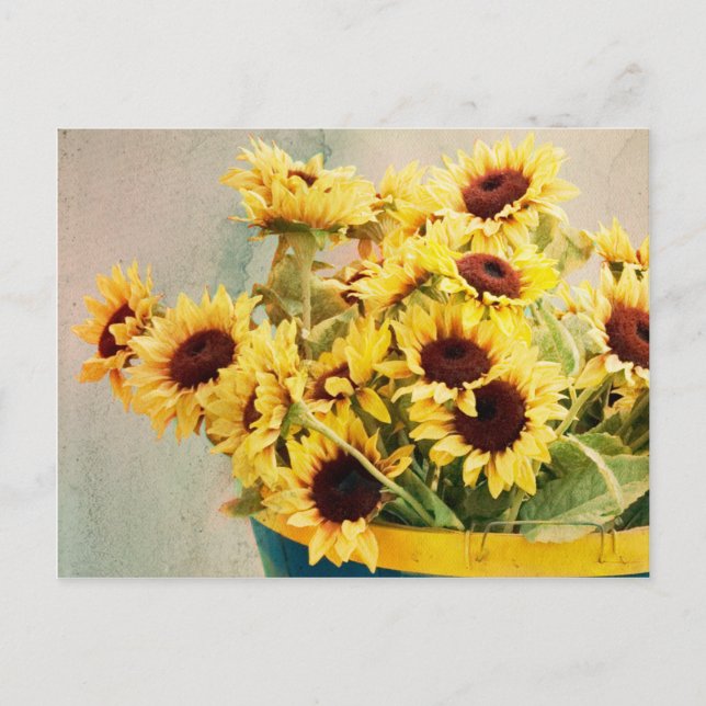 Sunflowers in barrel - horizontal postcard (Front)